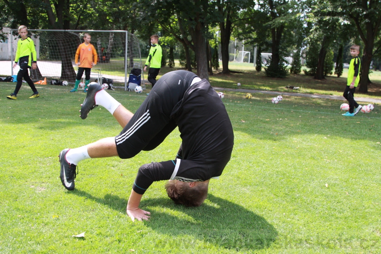 BFŠJCH - Léto 2019 - 5.8.2019