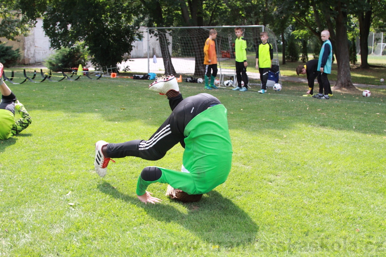 BFŠJCH - Léto 2019 - 5.8.2019