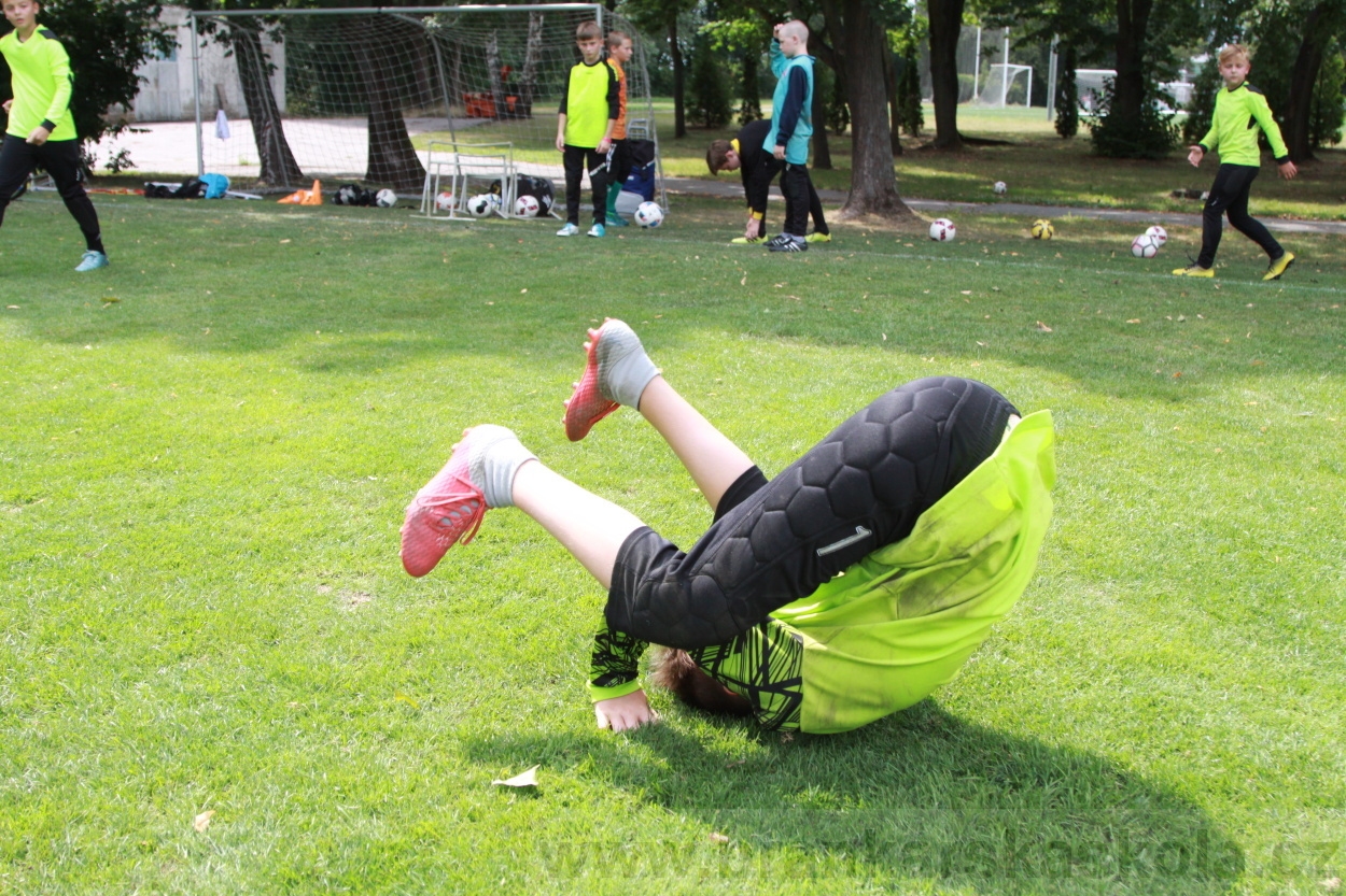 BFŠJCH - Léto 2019 - 5.8.2019