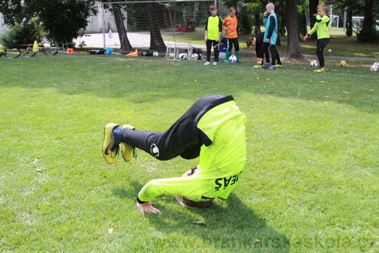 BFŠJCH - Léto 2019 - 5.8.2019