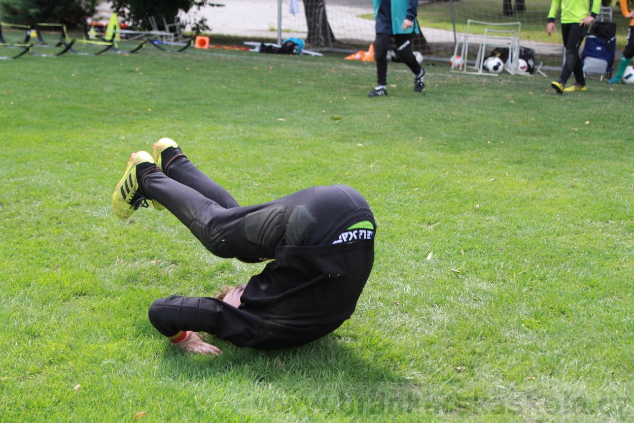 BFŠJCH - Léto 2019 - 5.8.2019