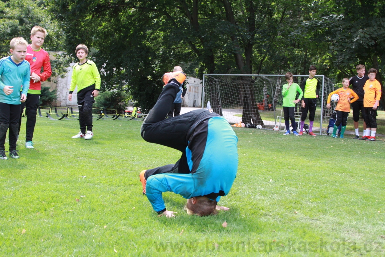 BFŠJCH - Léto 2019 - 5.8.2019