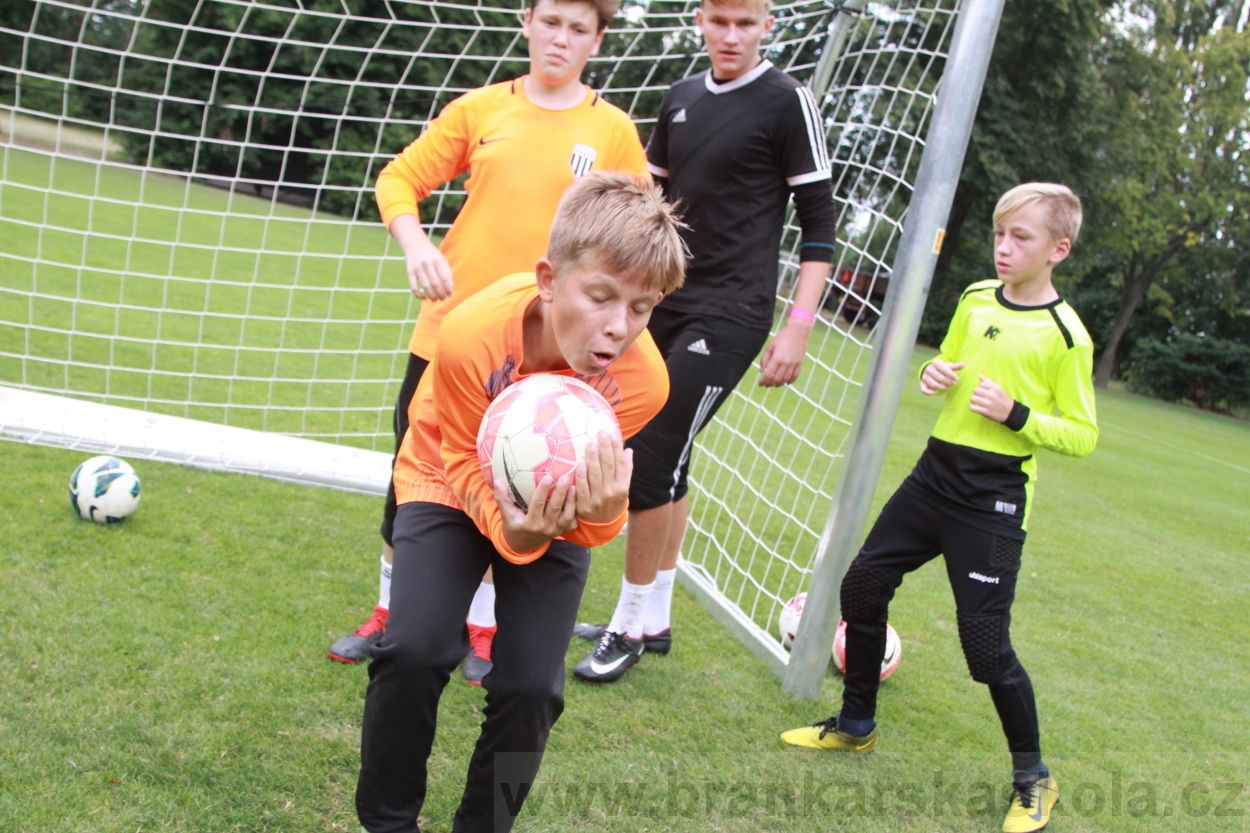 BFŠJCH - Léto 2019 - 5.8.2019