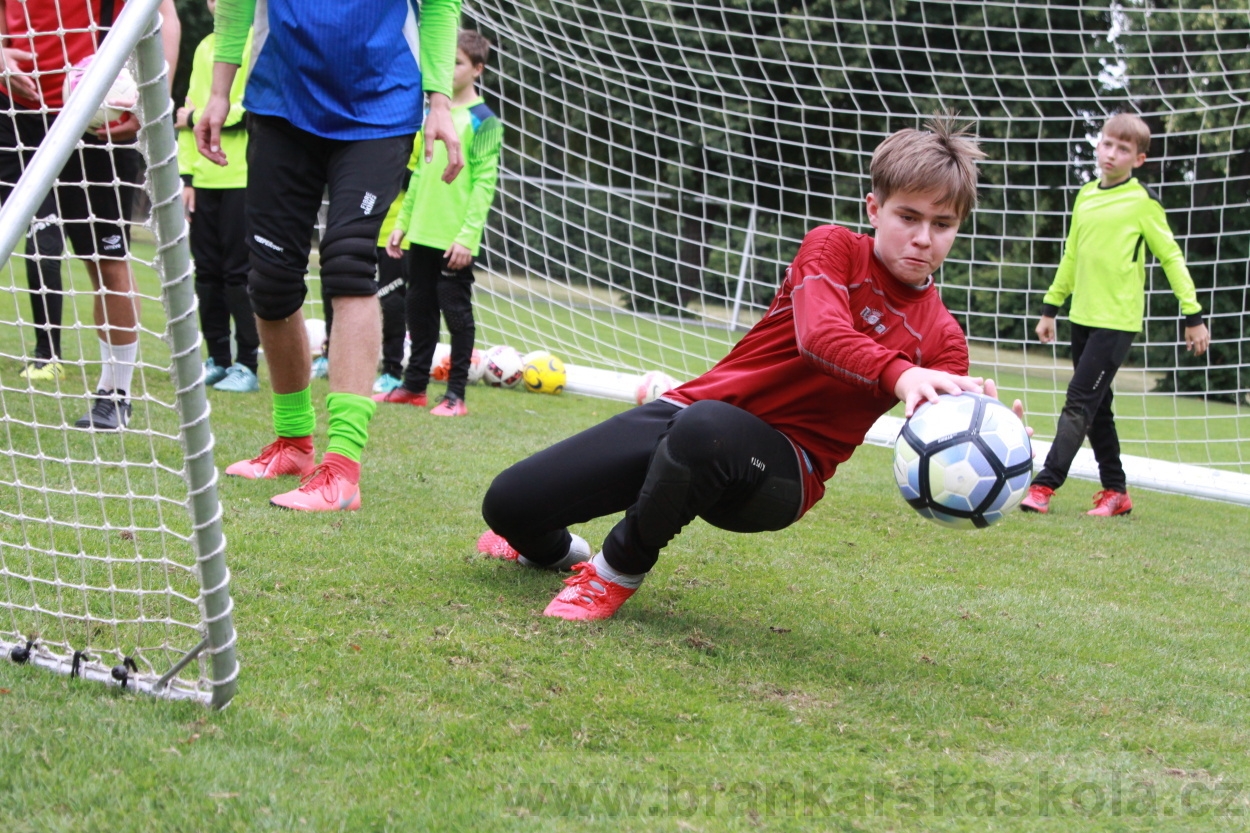 BFŠJCH - Léto 2019 - 5.8.2019