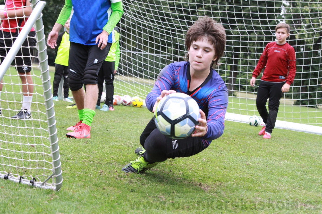 BFŠJCH - Léto 2019 - 5.8.2019