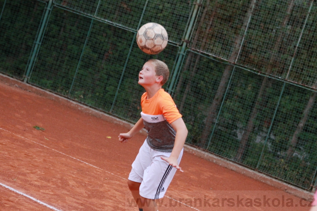 BFŠJCH - Léto 2019 - 5.8.2019