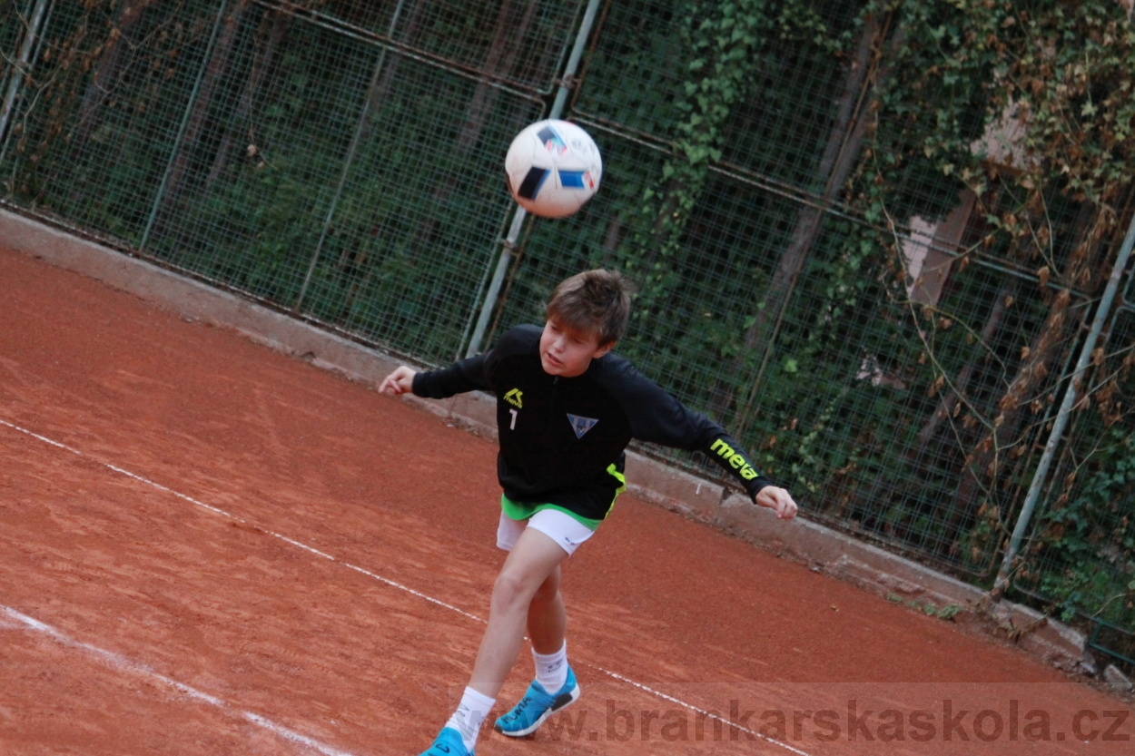 BFŠJCH - Léto 2019 - 5.8.2019