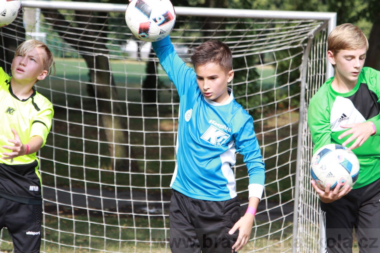 BFŠJCH - Léto 2019 - 6.8.2019