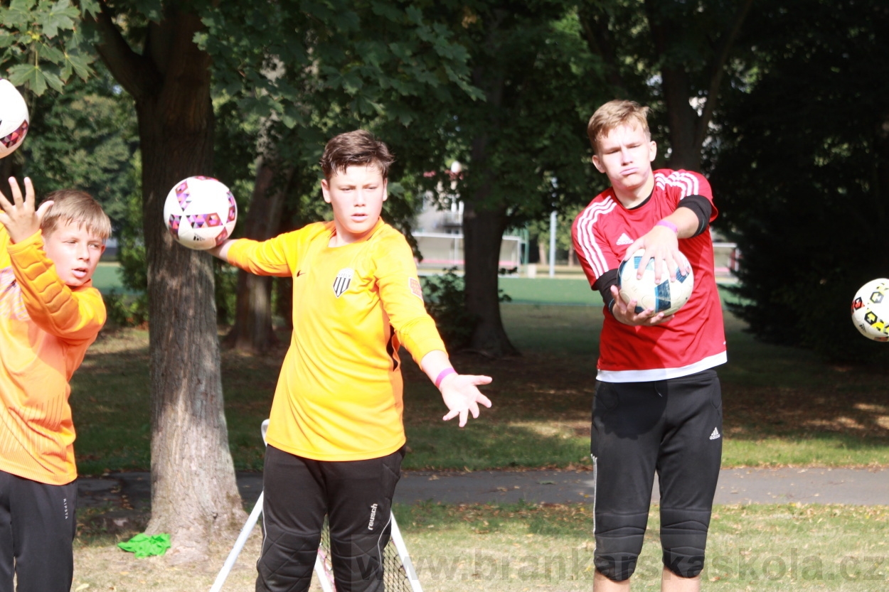 BFŠJCH - Léto 2019 - 6.8.2019