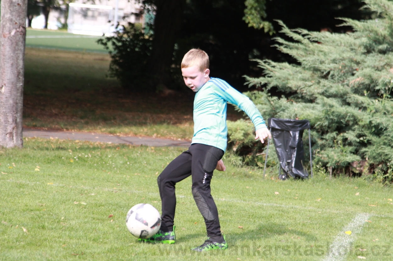 BFŠJCH - Léto 2019 - 6.8.2019