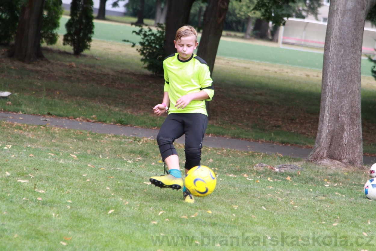 BFŠJCH - Léto 2019 - 6.8.2019