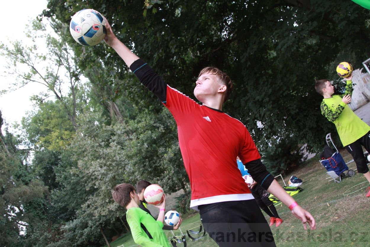 BFŠJCH - Léto 2019 - 6.8.2019