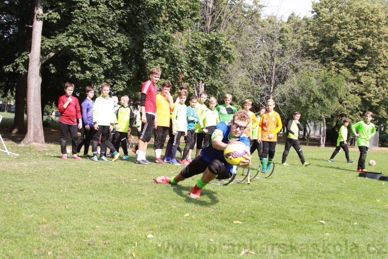 BFŠJCH - Léto 2019 - 6.8.2019