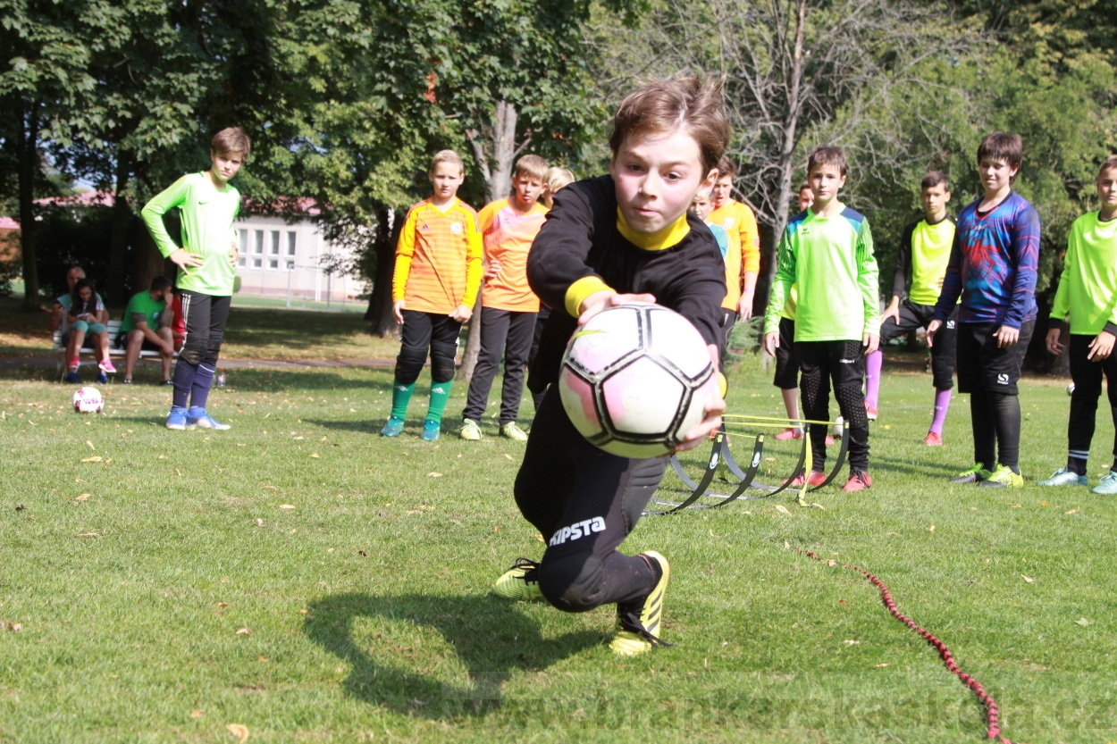 BFŠJCH - Léto 2019 - 6.8.2019
