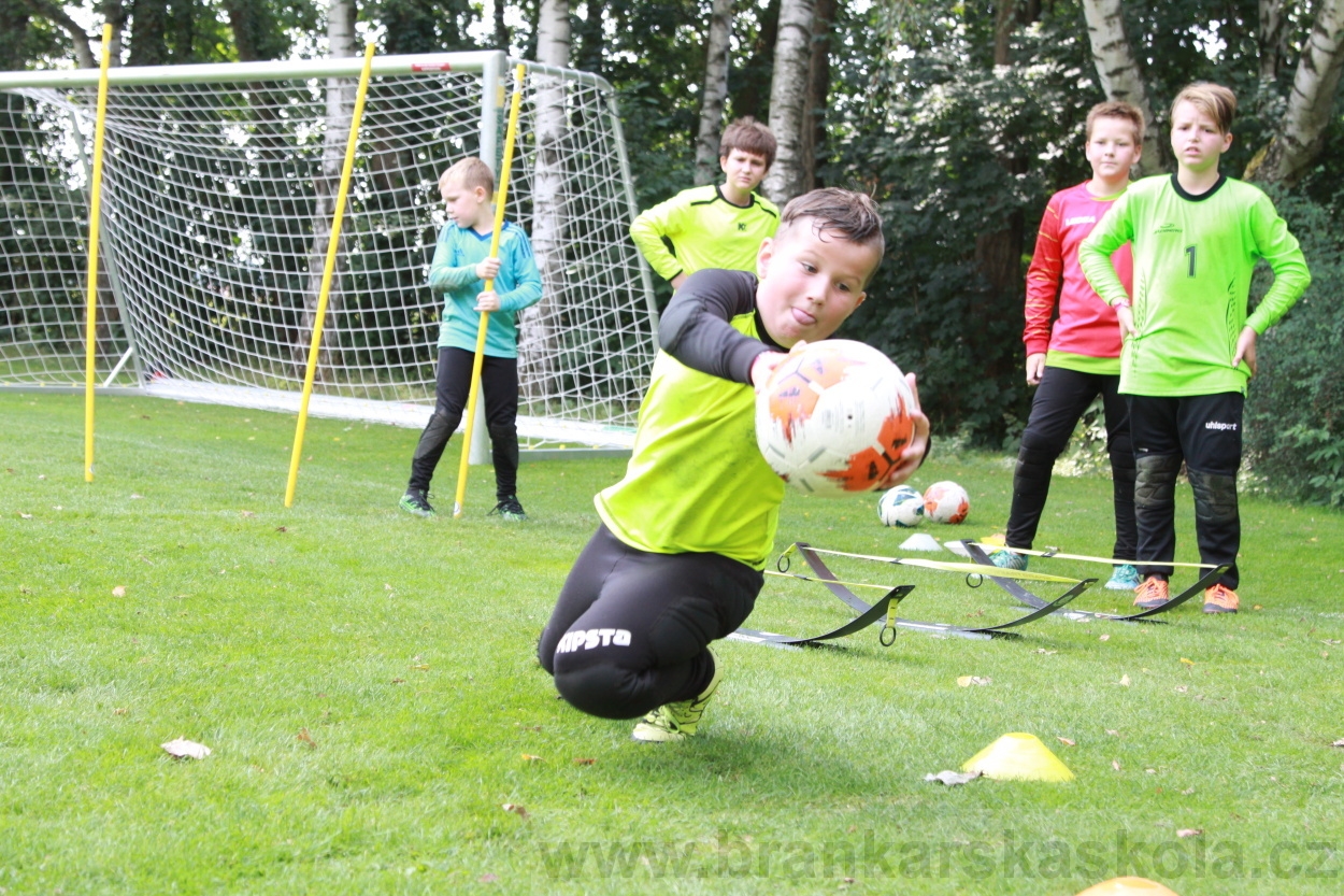 BFŠJCH - Léto 2019 - 6.8.2019