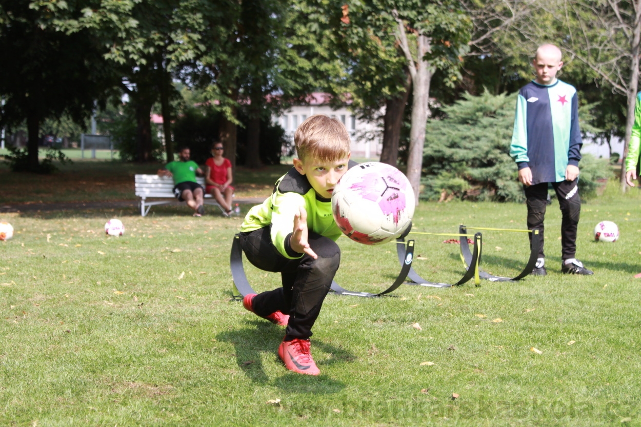 BFŠJCH - Léto 2019 - 6.8.2019