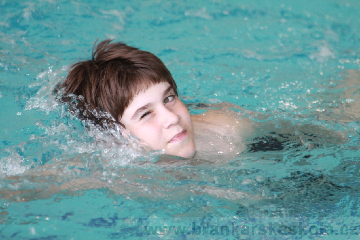 BFŠJCH - Léto 2019 - 6.8.2019