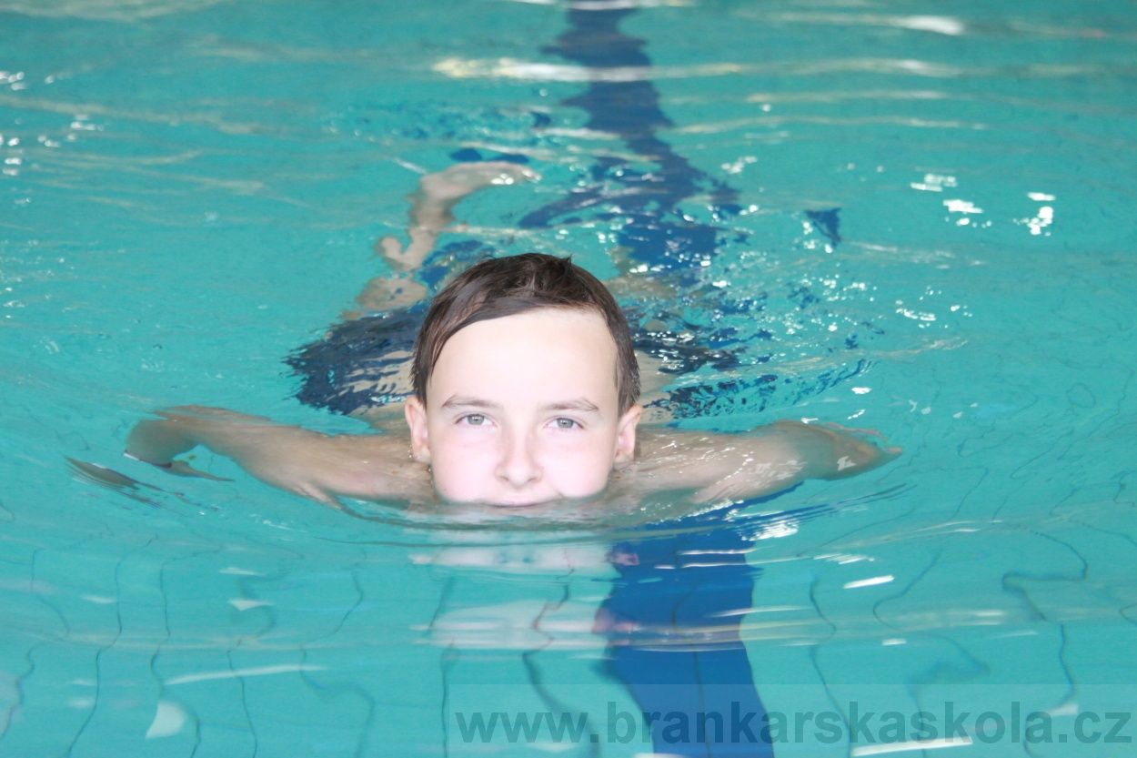 BFŠJCH - Léto 2019 - 6.8.2019