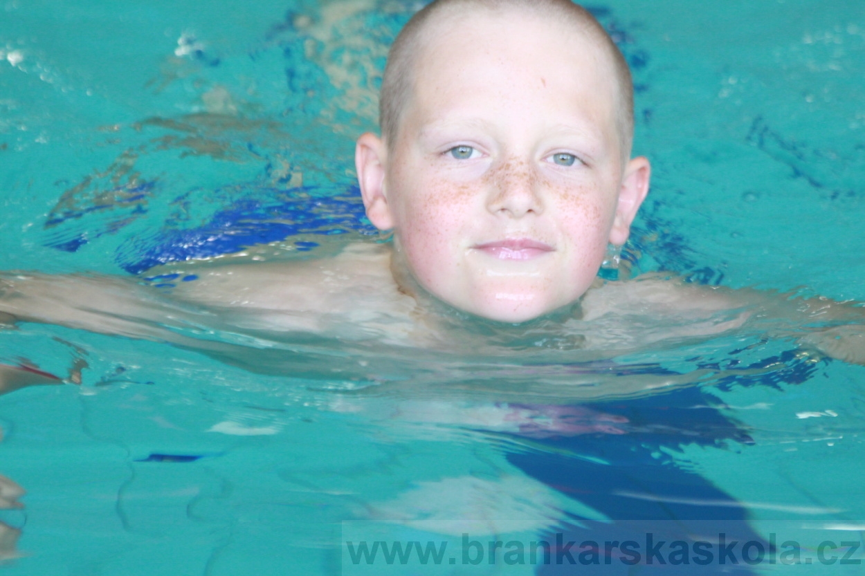 BFŠJCH - Léto 2019 - 6.8.2019