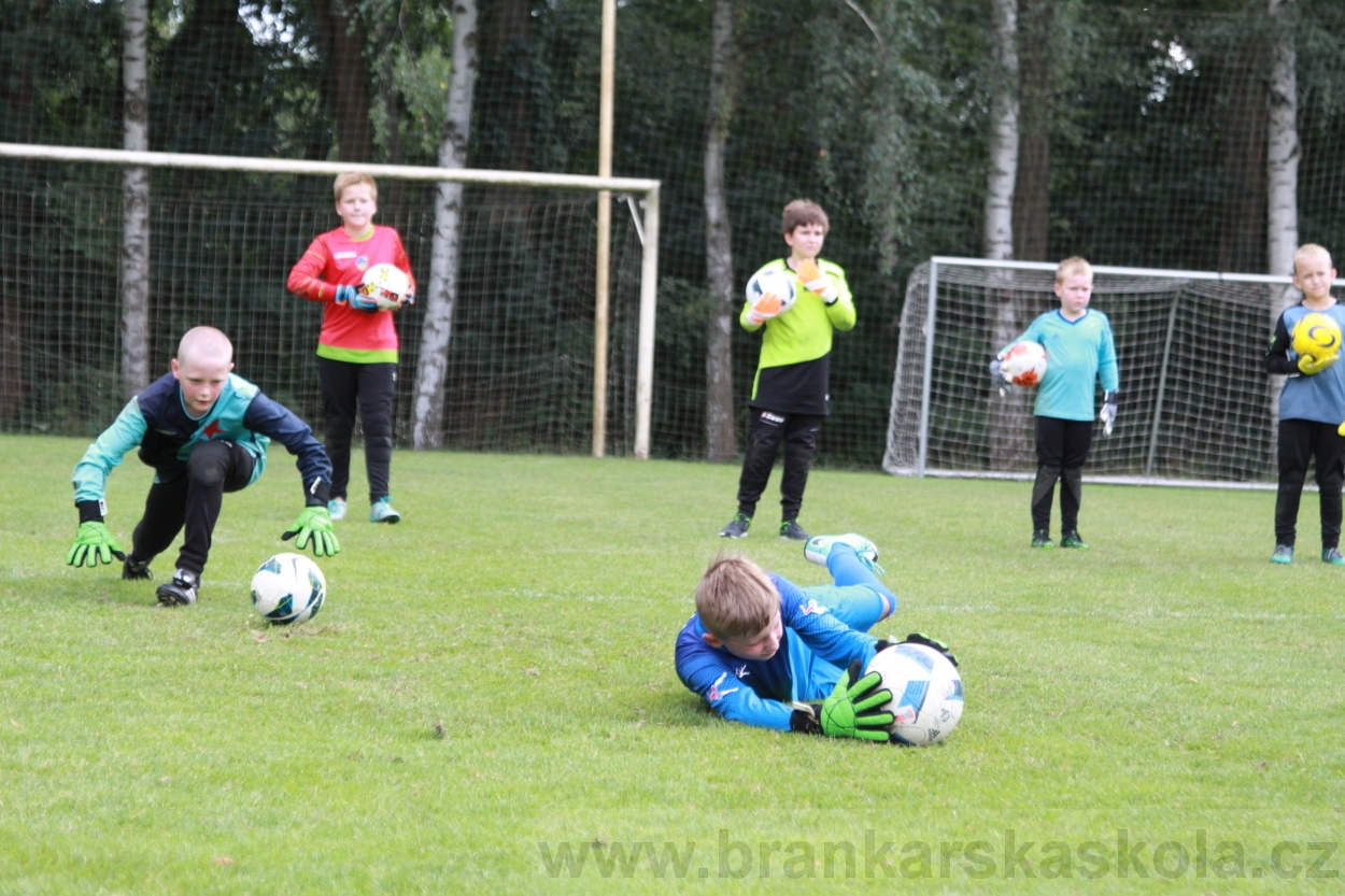 BFŠJCH - Léto 2019 - 6.8.2019