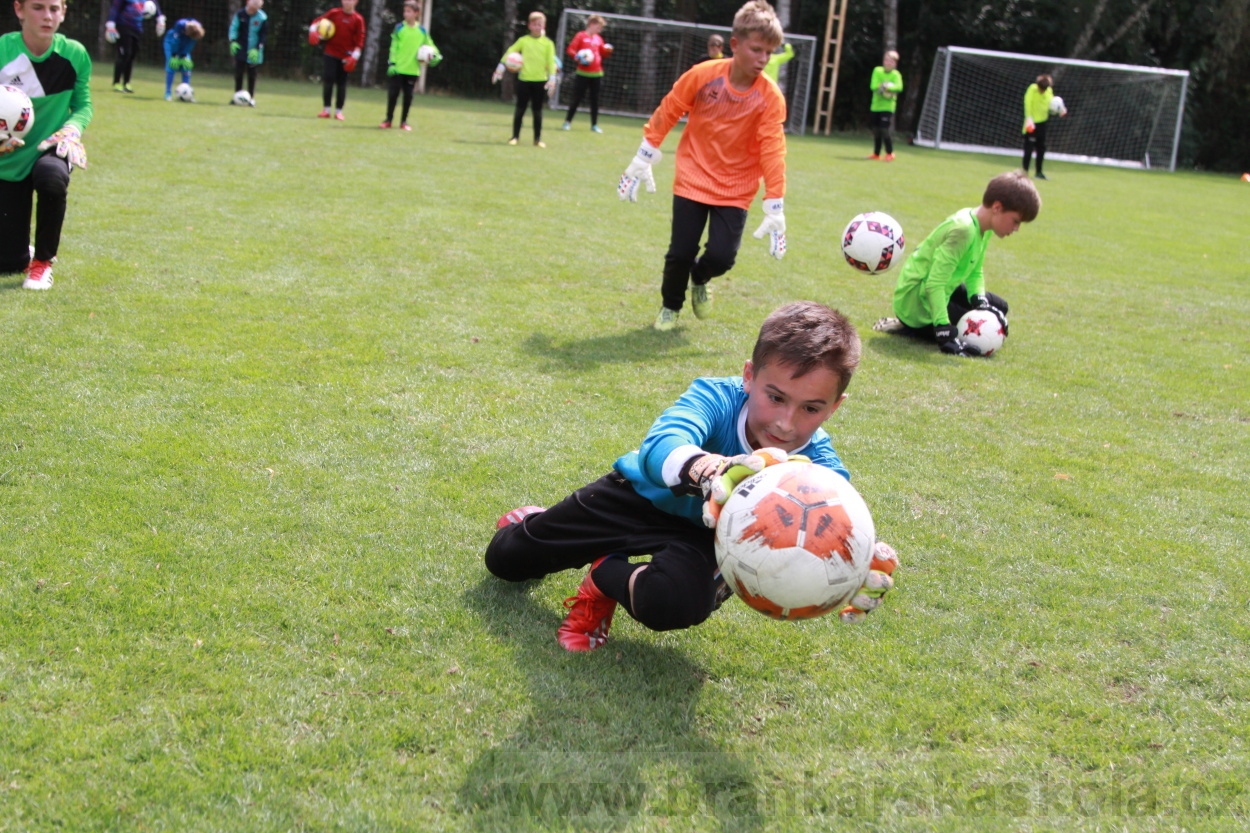 BFŠJCH - Léto 2019 - 6.8.2019