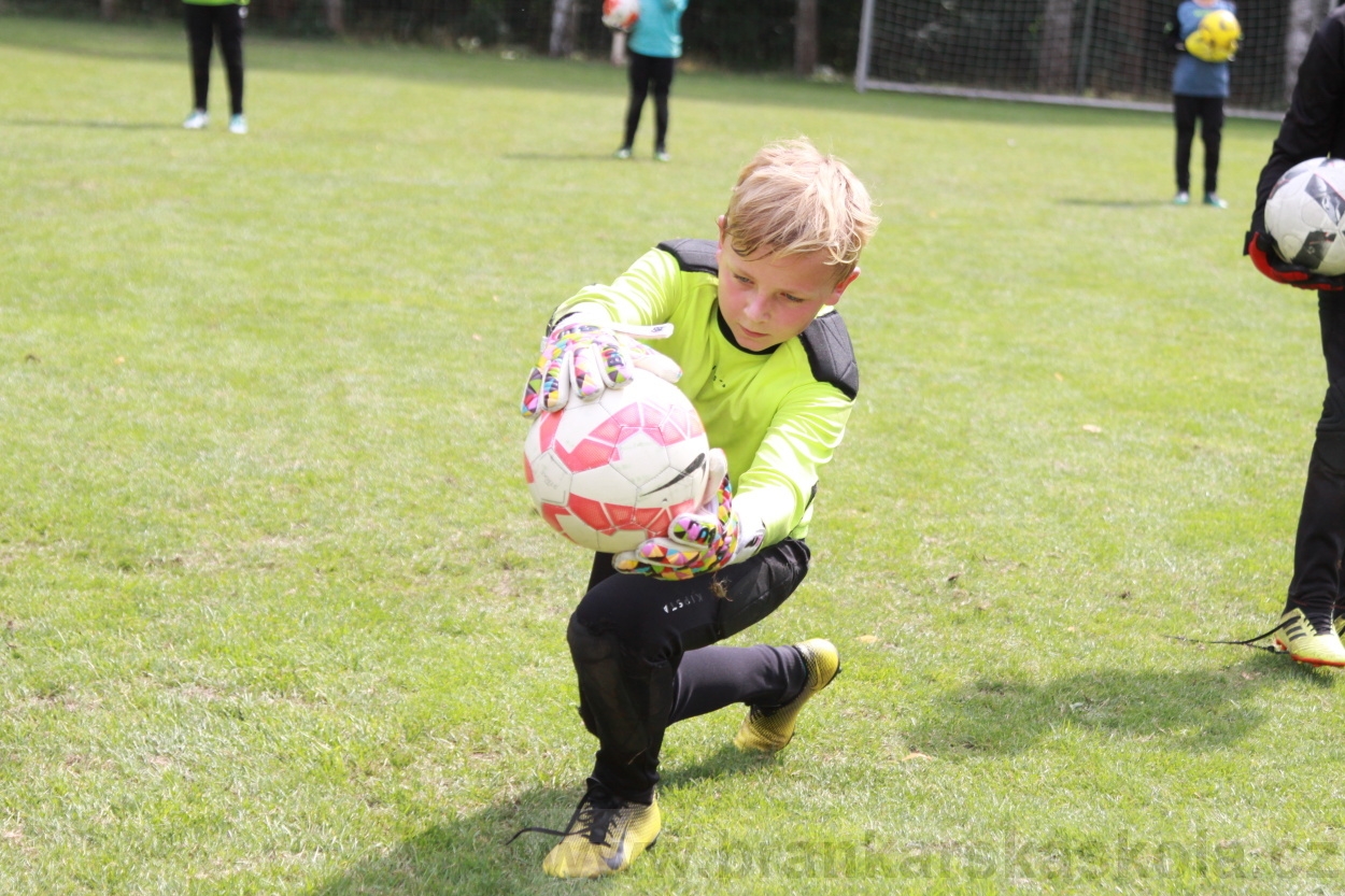 BFŠJCH - Léto 2019 - 6.8.2019