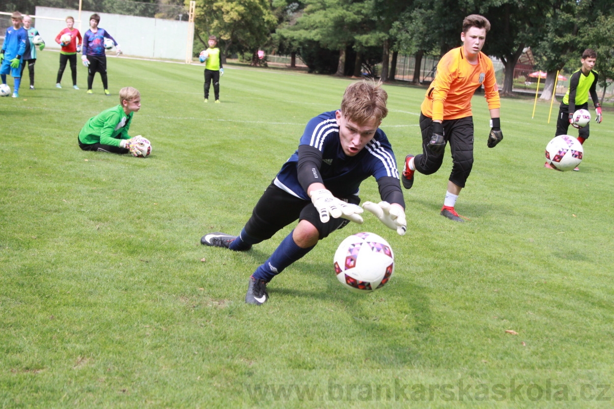 BFŠJCH - Léto 2019 - 6.8.2019