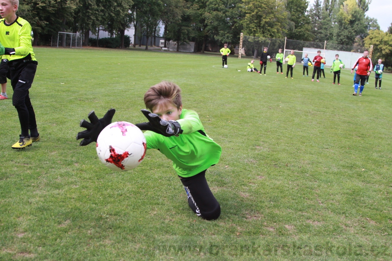 BFŠJCH - Léto 2019 - 6.8.2019