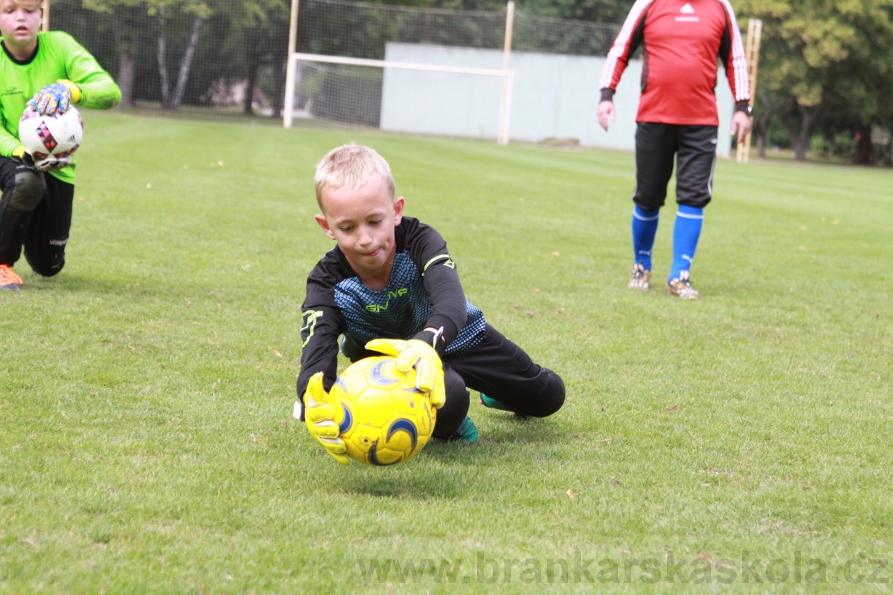 BFŠJCH - Léto 2019 - 6.8.2019