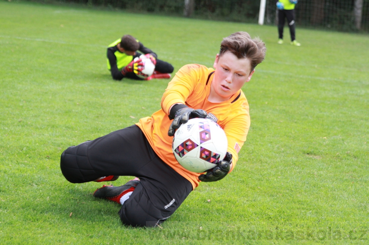 BFŠJCH - Léto 2019 - 6.8.2019