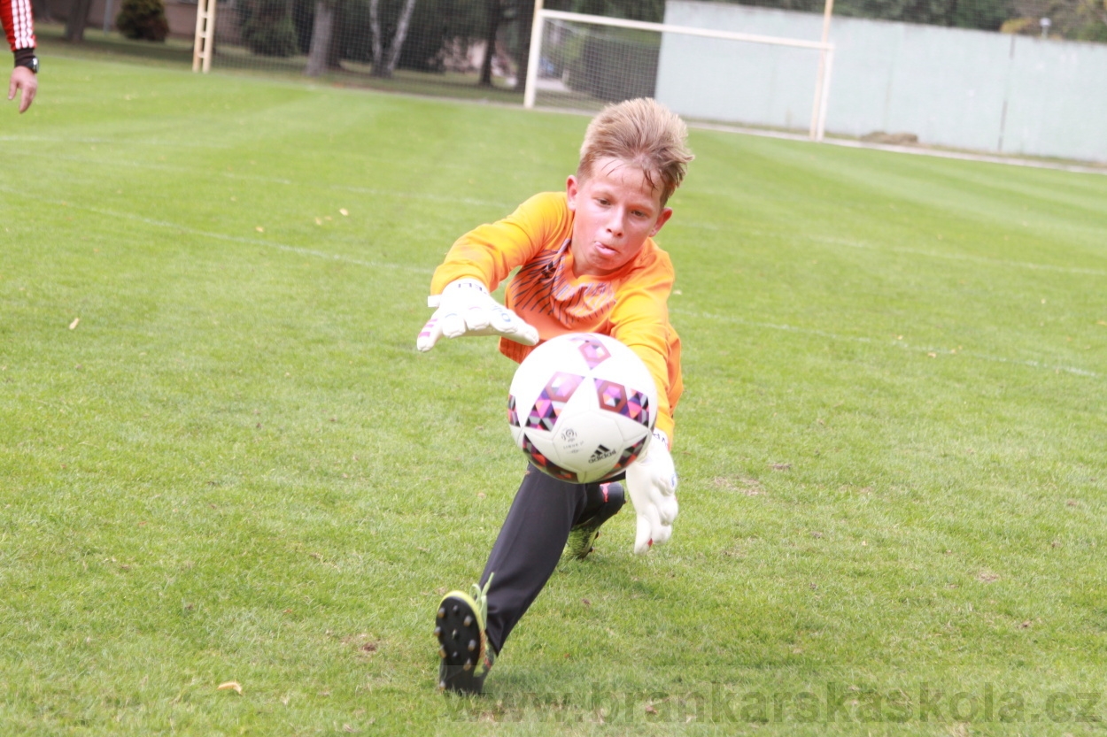 BFŠJCH - Léto 2019 - 6.8.2019