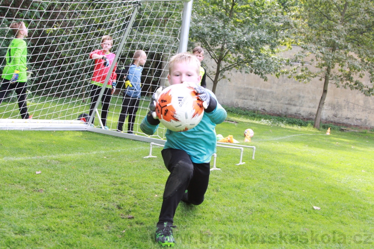 BFŠJCH - Léto 2019 - 6.8.2019