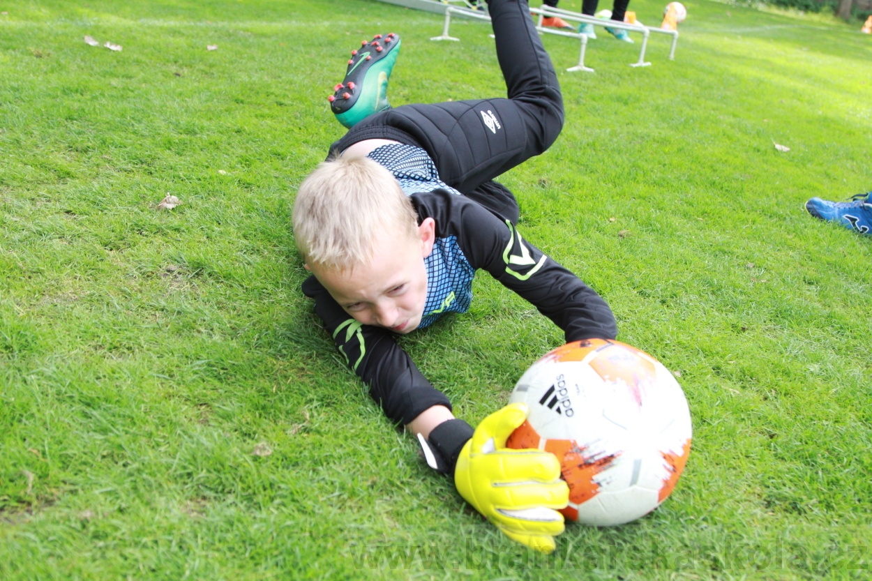 BFŠJCH - Léto 2019 - 6.8.2019