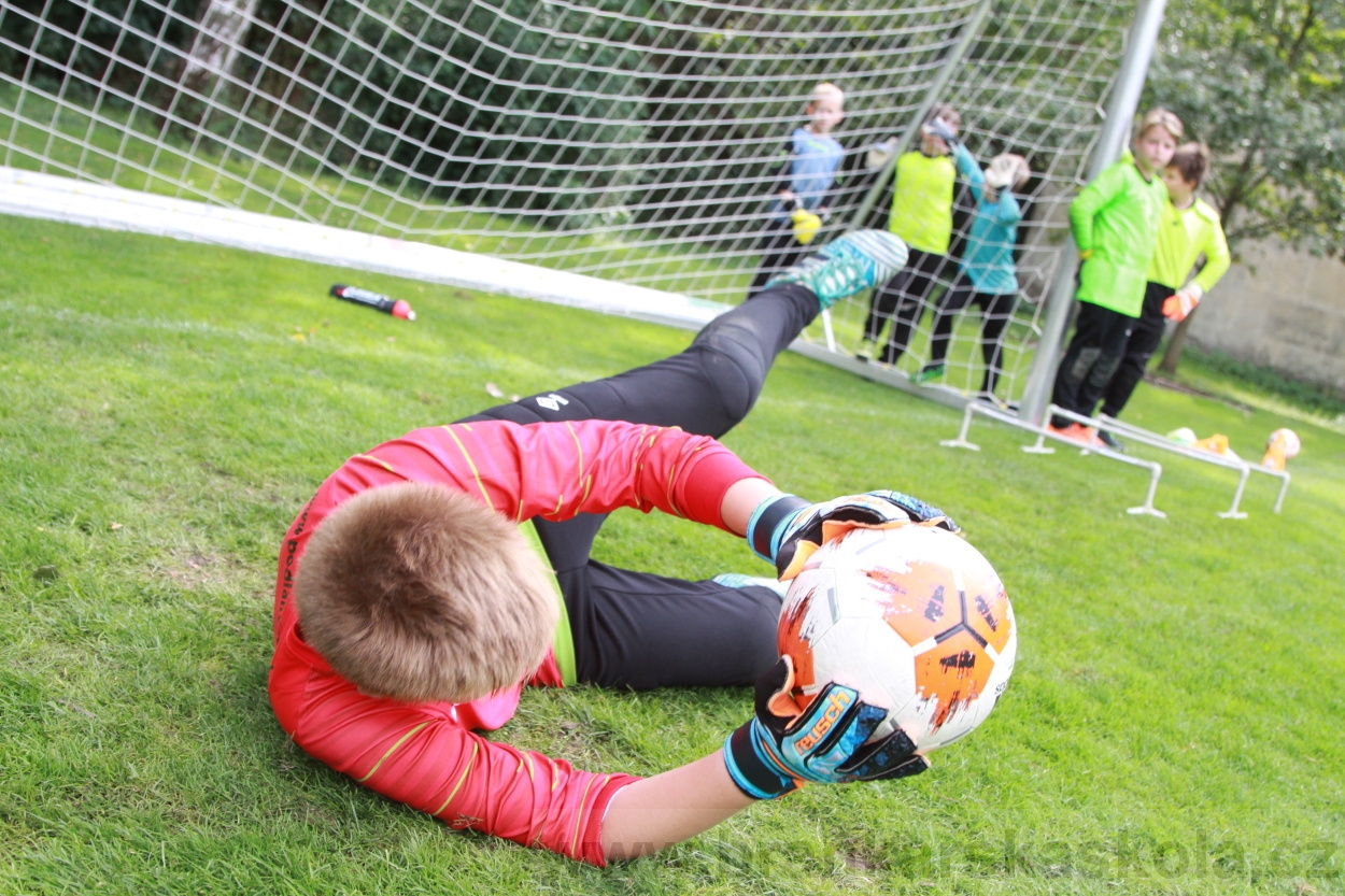 BFŠJCH - Léto 2019 - 6.8.2019