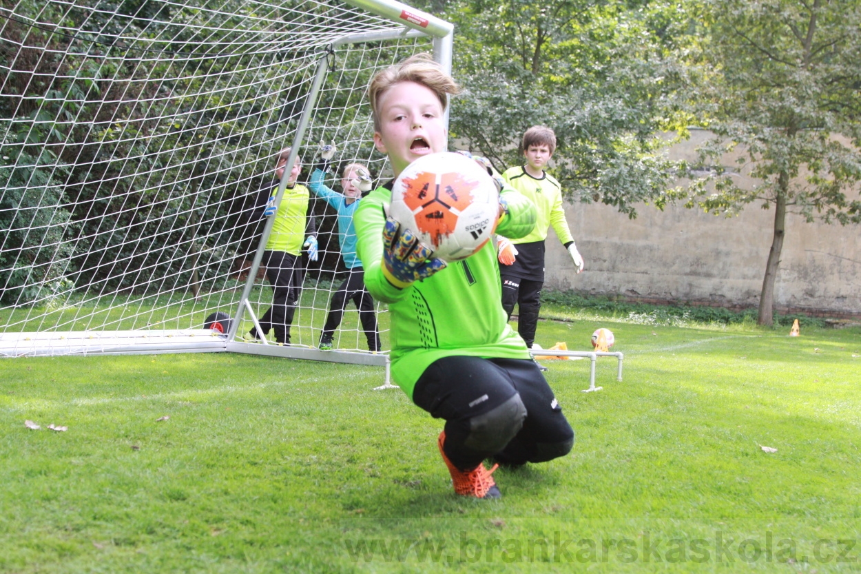 BFŠJCH - Léto 2019 - 6.8.2019