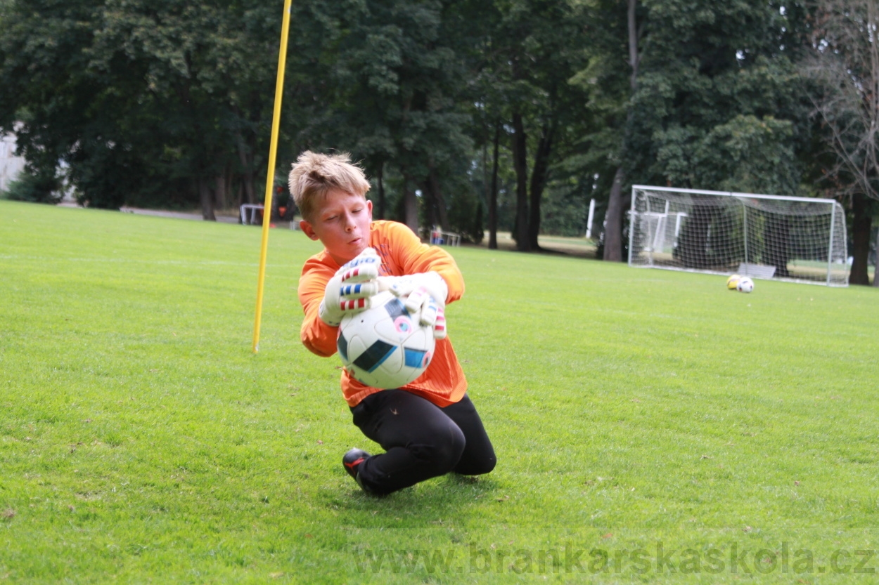 BFŠJCH - Léto 2019 - 6.8.2019