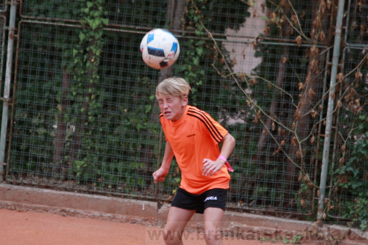 BFŠJCH - Léto 2019 - 6.8.2019