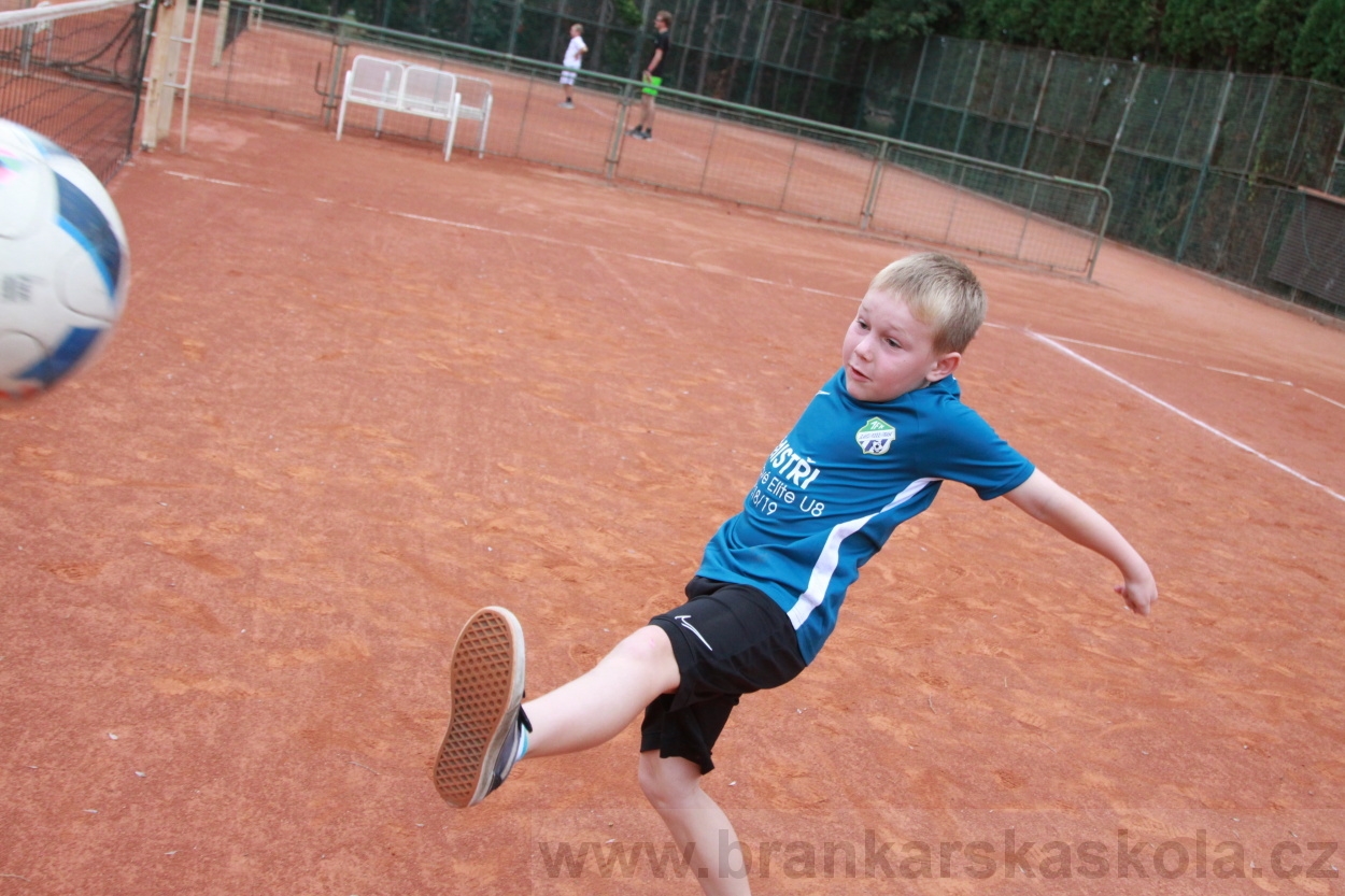 BFŠJCH - Léto 2019 - 6.8.2019