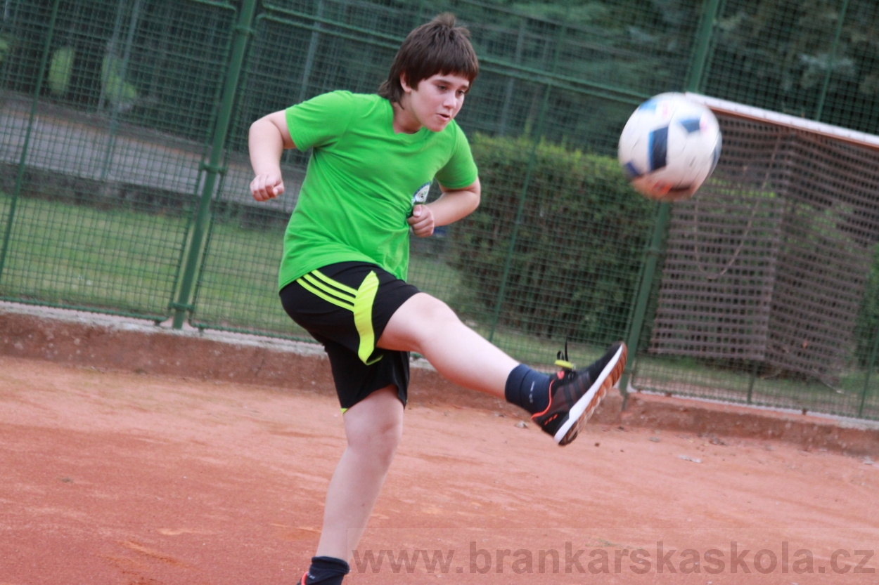 BFŠJCH - Léto 2019 - 6.8.2019