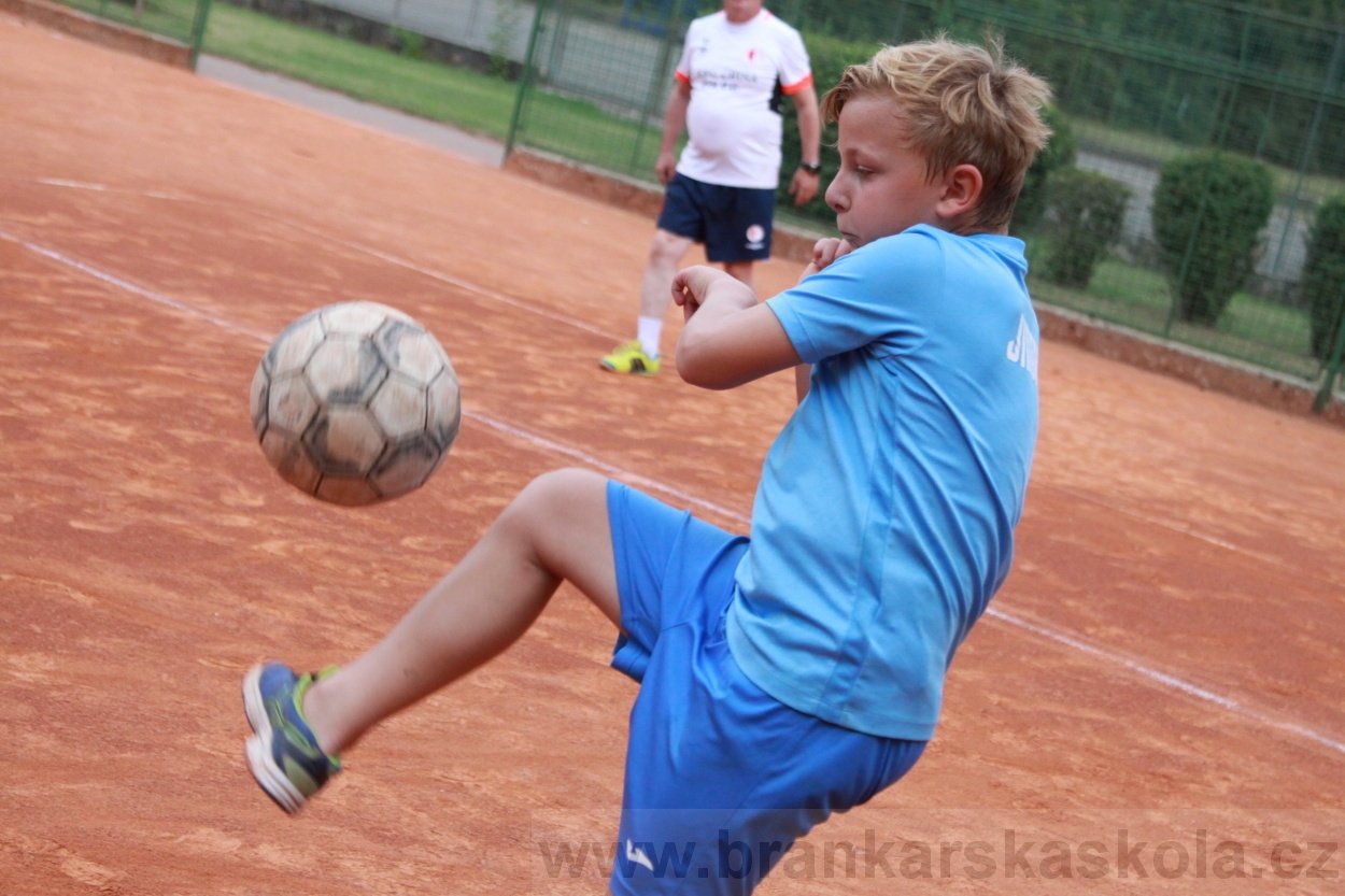 BFŠJCH - Léto 2019 - 6.8.2019