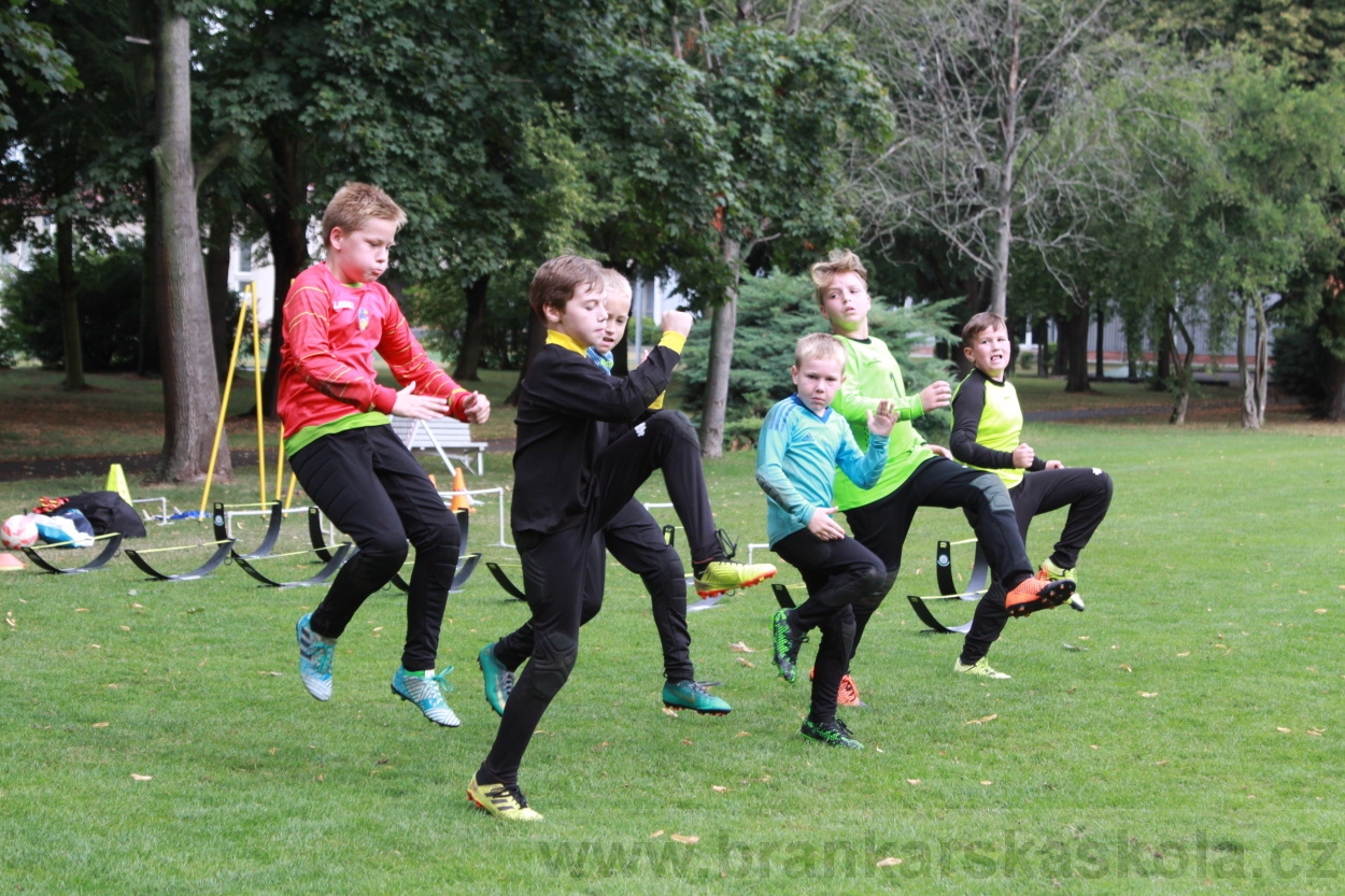 BFŠJCH - Léto 2019 - 7.8.2019