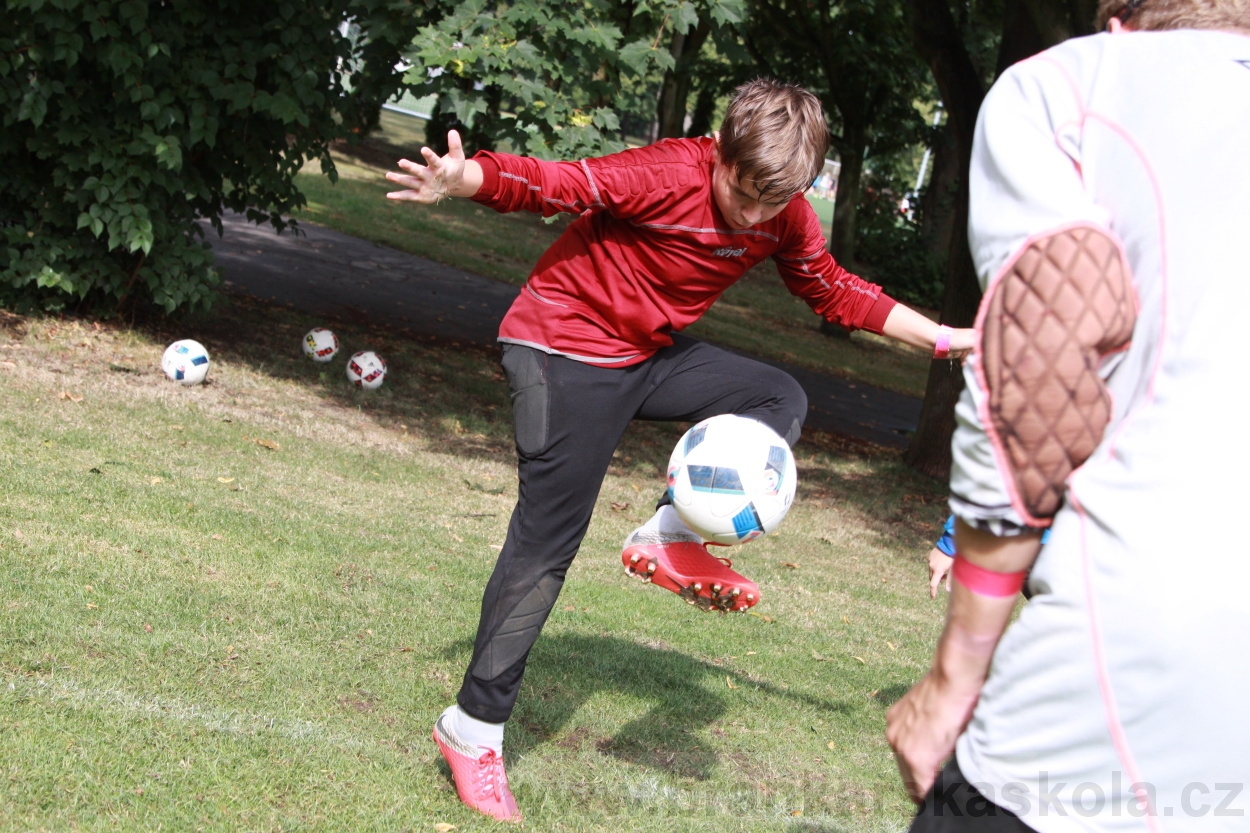 BFŠJCH - Léto 2019 - 7.8.2019