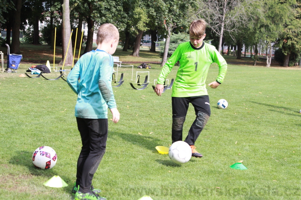 BFŠJCH - Léto 2019 - 7.8.2019