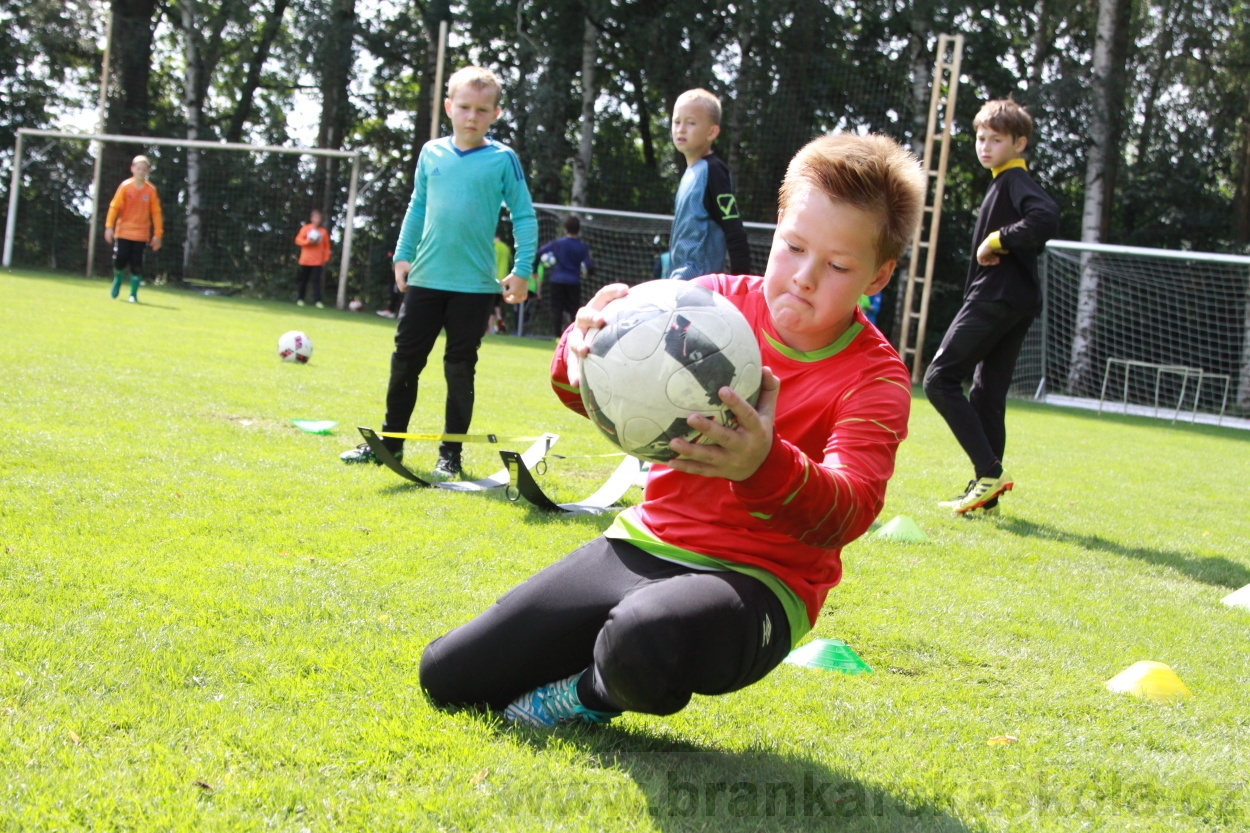 BFŠJCH - Léto 2019 - 7.8.2019