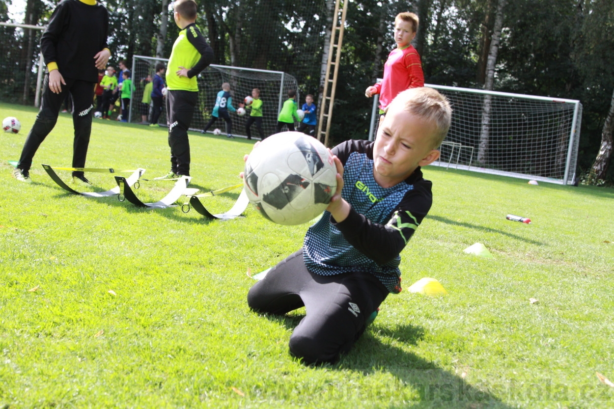 BFŠJCH - Léto 2019 - 7.8.2019