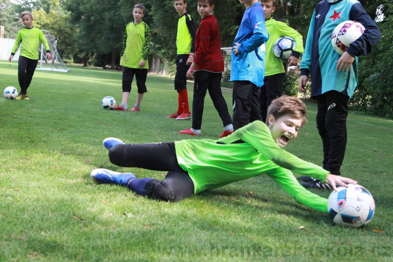 BFŠJCH - Léto 2019 - 7.8.2019