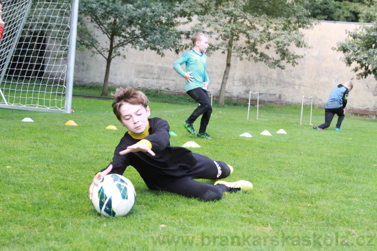 BFŠJCH - Léto 2019 - 7.8.2019