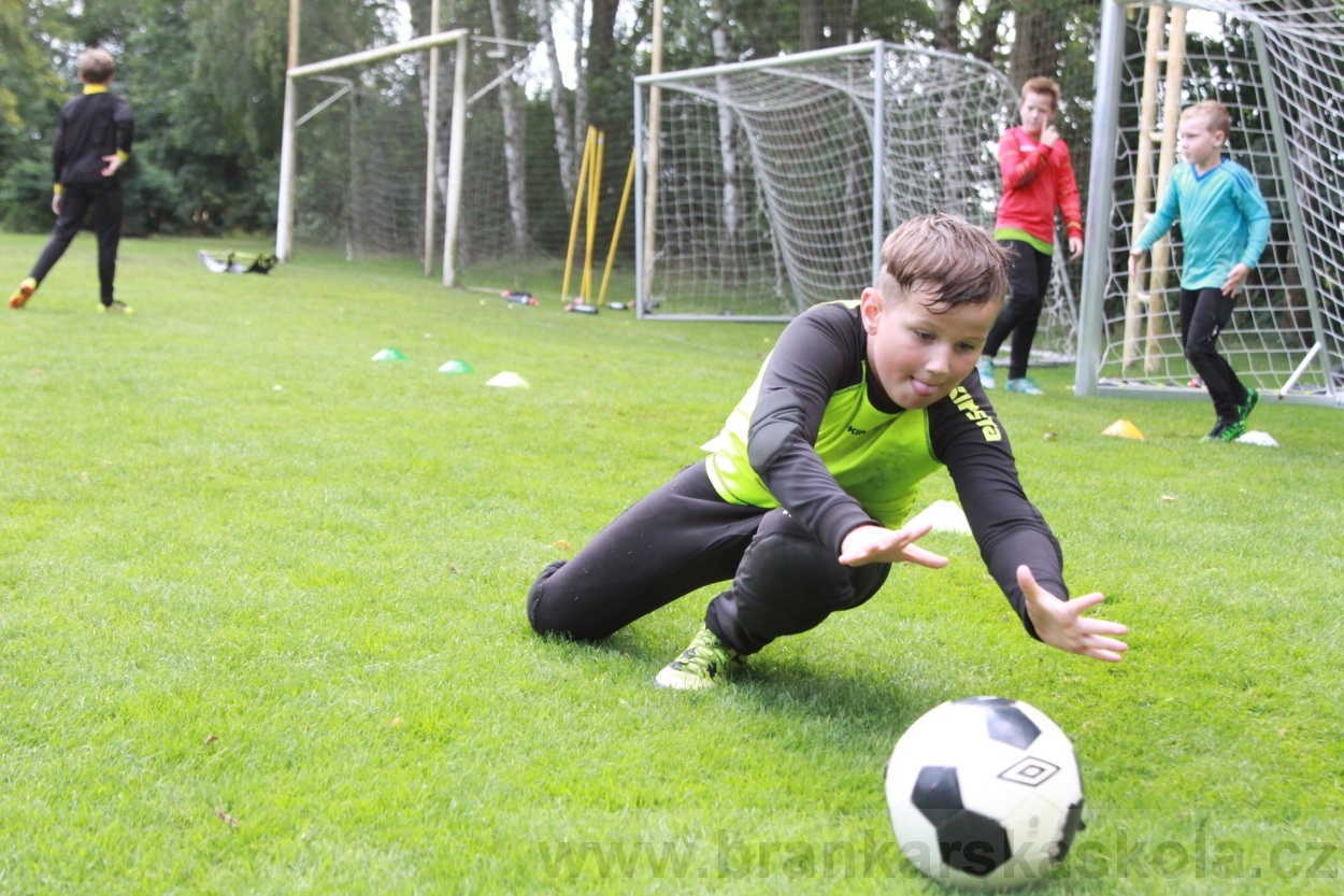 BFŠJCH - Léto 2019 - 7.8.2019