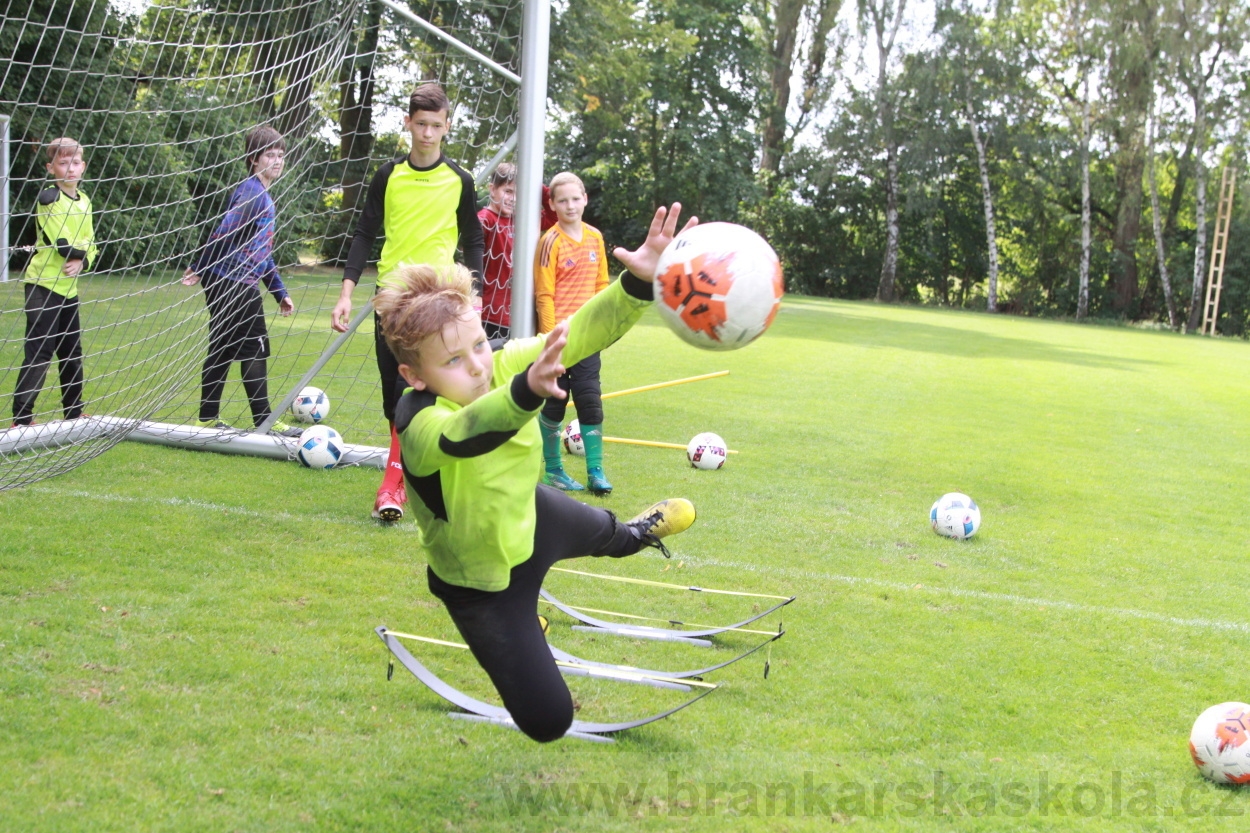 BFŠJCH - Léto 2019 - 7.8.2019