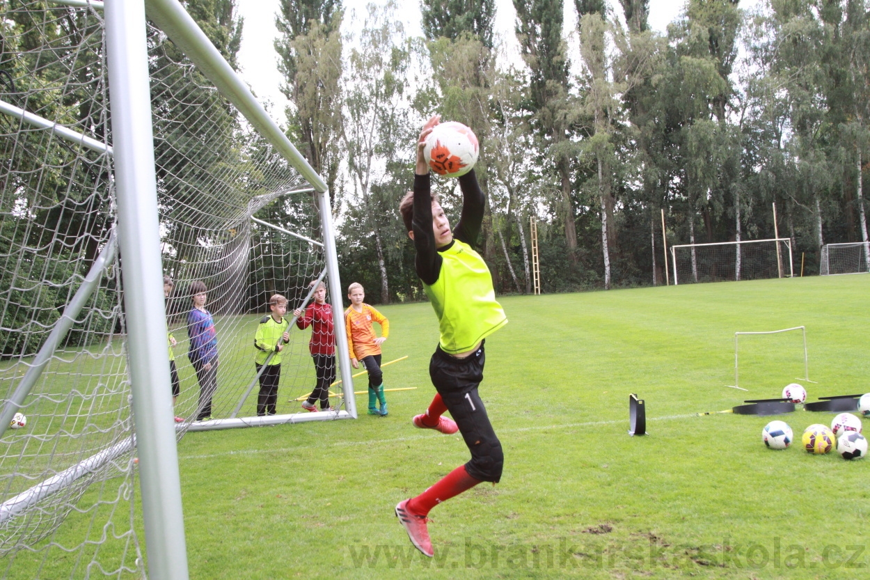 BFŠJCH - Léto 2019 - 7.8.2019